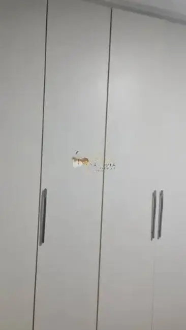 Apartamento à venda, 92m2 em Alto da Lapa, São Paulo - SP - imagem 8 Foto 8 de Apartamento à venda, 92m2 em Alto da Lapa, São Paulo - SP