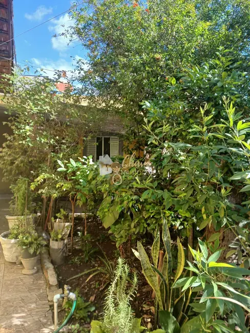 Casa com 3 quartos à venda, 220m2 em Jardim São José, São Paulo - SP - imagem 8 Foto 8 de Casa com 3 quartos à venda, 220m2 em Jardim São José, São Paulo - SP