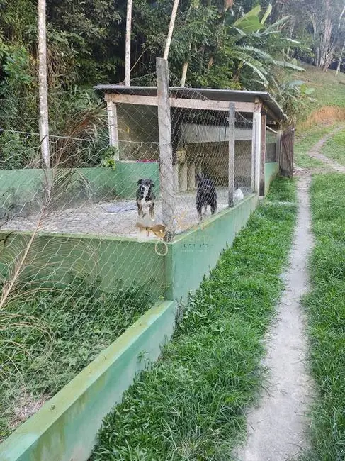 Foto 8 de Chácara com 3 quartos à venda, 4000m2 em Embura, São Paulo - SP