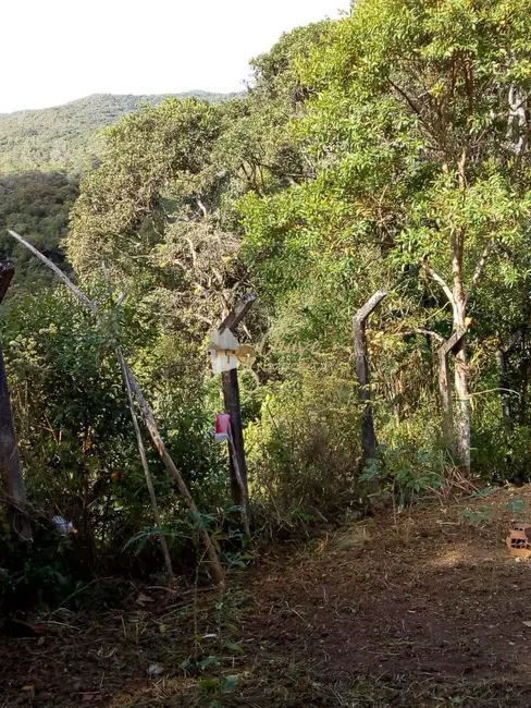 Casa com 1 quarto à venda, 4000m2 em Parelheiros, São Paulo - SP - imagem 4 Foto 4 de Casa com 1 quarto à venda, 4000m2 em Parelheiros, São Paulo - SP