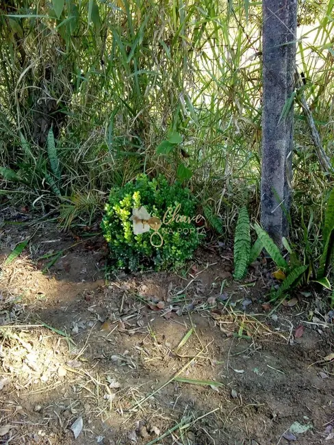 Casa com 1 quarto à venda, 4000m2 em Parelheiros, São Paulo - SP - imagem 8 Foto 8 de Casa com 1 quarto à venda, 4000m2 em Parelheiros, São Paulo - SP