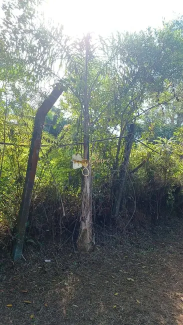 Casa com 1 quarto à venda, 4000m2 em Parelheiros, São Paulo - SP - imagem 9 Foto 9 de Casa com 1 quarto à venda, 4000m2 em Parelheiros, São Paulo - SP