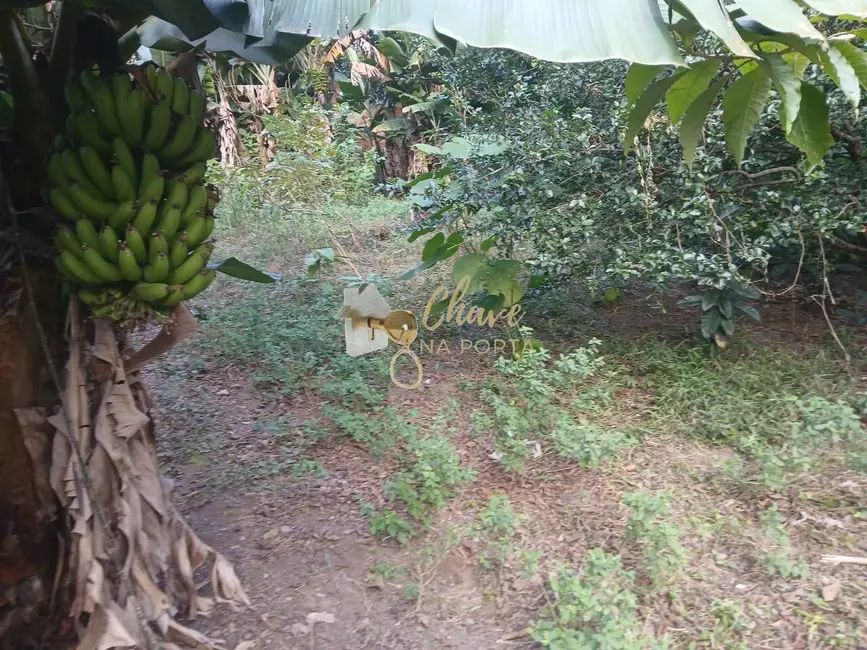 Foto 3 de Casa com 1 quarto à venda, 700m2 em Cidade Ipava, São Paulo - SP