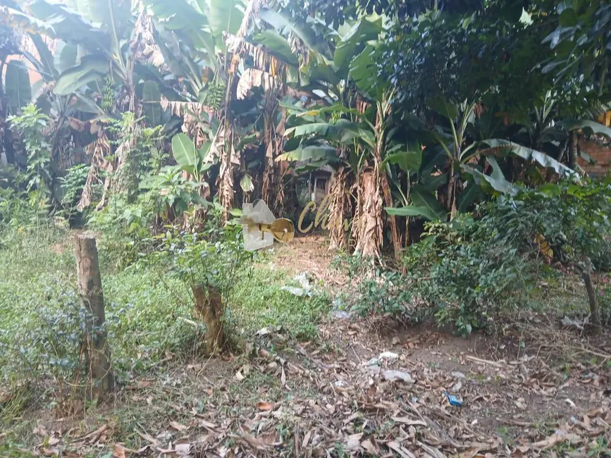 Foto 4 de Casa com 1 quarto à venda, 700m2 em Cidade Ipava, São Paulo - SP