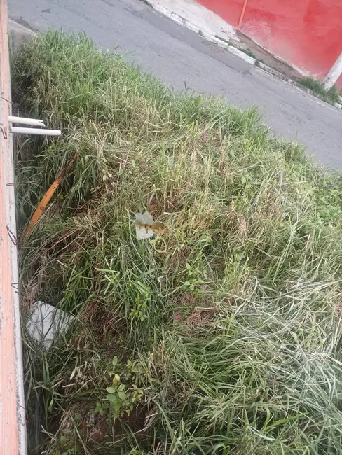 Foto 9 de Terreno / Lote à venda, 120m2 em Jardim Guarujá, São Paulo - SP