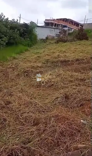 Terreno / Lote à venda, 250m2 em Jardim Jacira, Itapecerica Da Serra - SP - imagem 5 Foto 5 de Terreno / Lote à venda, 250m2 em Jardim Jacira, Itapecerica Da Serra - SP