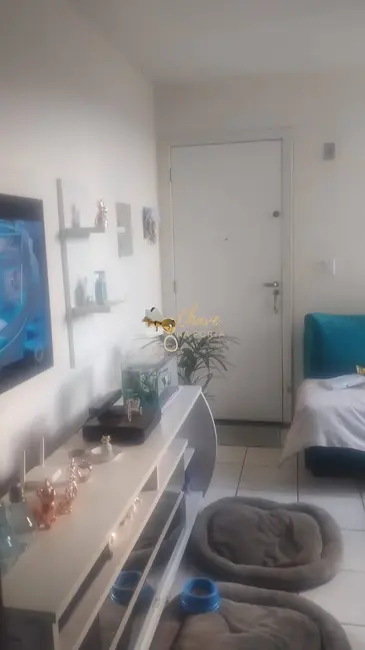 Apartamento com 2 quartos à venda, 50m2 em Vila da Paz, São Paulo - SP - imagem 3 Foto 3 de Apartamento com 2 quartos à venda, 50m2 em Vila da Paz, São Paulo - SP