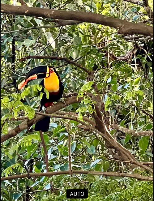 Apartamento com 4 quartos à venda, 160m2 em Leblon, Rio De Janeiro - RJ - imagem 6 Foto 6 de Apartamento com 4 quartos à venda, 160m2 em Leblon, Rio De Janeiro - RJ