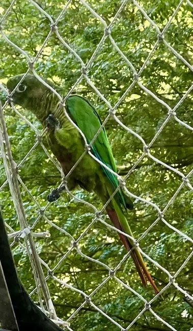 Apartamento com 4 quartos à venda, 160m2 em Leblon, Rio De Janeiro - RJ - imagem 8 Foto 8 de Apartamento com 4 quartos à venda, 160m2 em Leblon, Rio De Janeiro - RJ