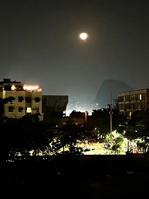 Apartamento com 4 quartos à venda, 160m2 em Leblon, Rio De Janeiro - RJ - imagem 5 Foto 5 de Apartamento com 4 quartos à venda, 160m2 em Leblon, Rio De Janeiro - RJ