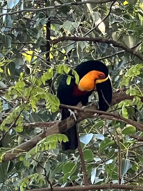 Apartamento com 4 quartos à venda, 160m2 em Leblon, Rio De Janeiro - RJ - imagem 7 Foto 7 de Apartamento com 4 quartos à venda, 160m2 em Leblon, Rio De Janeiro - RJ