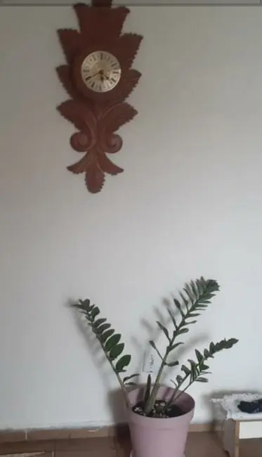 Foto 5 de Casa com 2 quartos à venda, 135000m2 em Jardim do Estádio, Santo Andre - SP