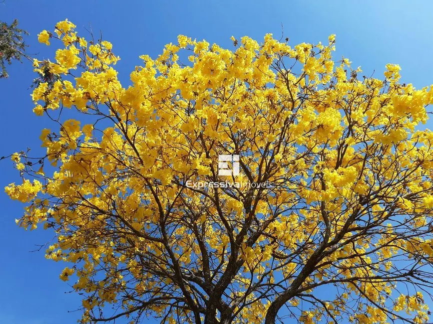 Foto 4 de Chácara com 3 quartos à venda, 24700m2 em Sítio da Moenda, Itatiba - SP