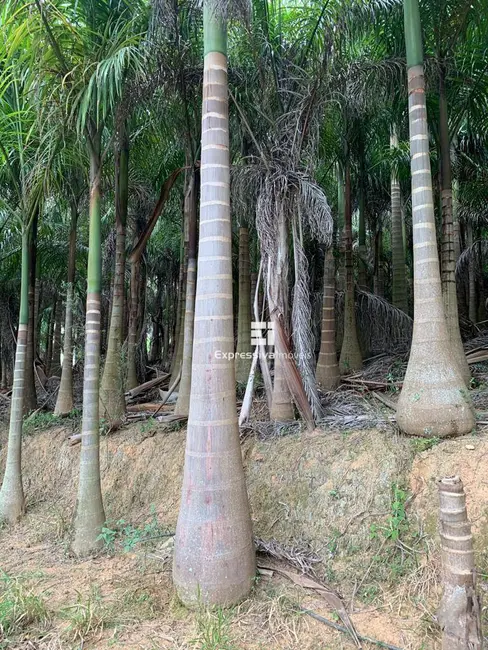 Foto 3 de Chácara com 1 quarto à venda, 64000m2 em Vila Nova, Amparo - SP