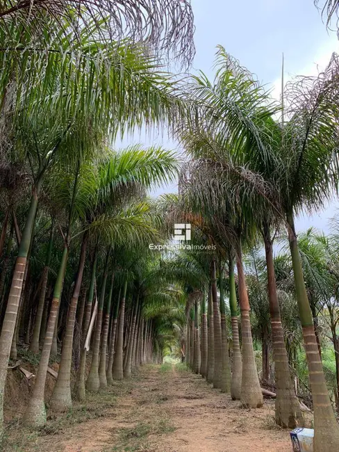 Foto 1 de Chácara com 1 quarto à venda, 64000m2 em Vila Nova, Amparo - SP