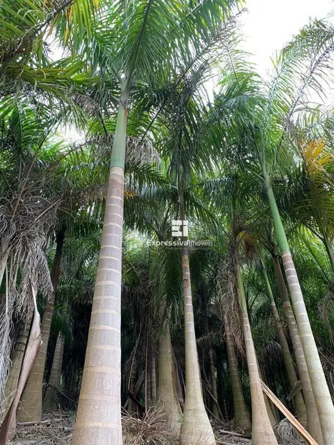 Foto 2 de Chácara com 1 quarto à venda, 64000m2 em Vila Nova, Amparo - SP