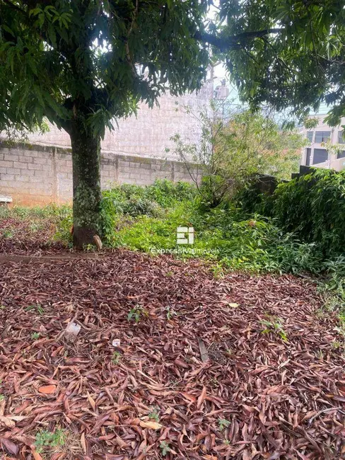 Foto 5 de Casa com 1 quarto à venda, 452m2 em Jardim México, Itatiba - SP