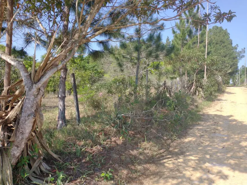 Foto 6 de Chácara com 2 quartos à venda, 4900m2 em Mairinque - SP