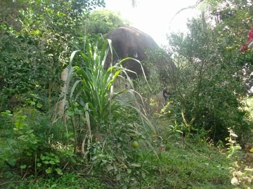 Chácara com 3 quartos à venda, 11200m2 em Mairinque - SP - imagem 9 Foto 9 de Chácara com 3 quartos à venda, 11200m2 em Mairinque - SP