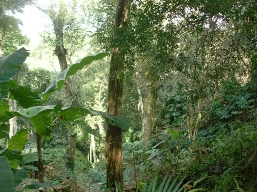 Foto 2 de Chácara com 3 quartos à venda, 11200m2 em Mairinque - SP