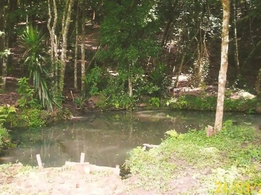 Sítio / Rancho à venda, 21200m2 em Mairinque - SP - imagem 6 Foto 6 de Sítio / Rancho à venda, 21200m2 em Mairinque - SP