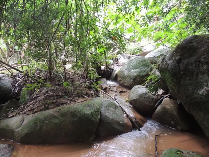 Foto 6 de Chácara com 3 quartos à venda, 4000m2 em Mairinque - SP