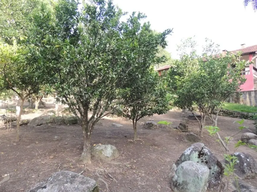 Foto 5 de Chácara com 3 quartos à venda, 4000m2 em Mairinque - SP