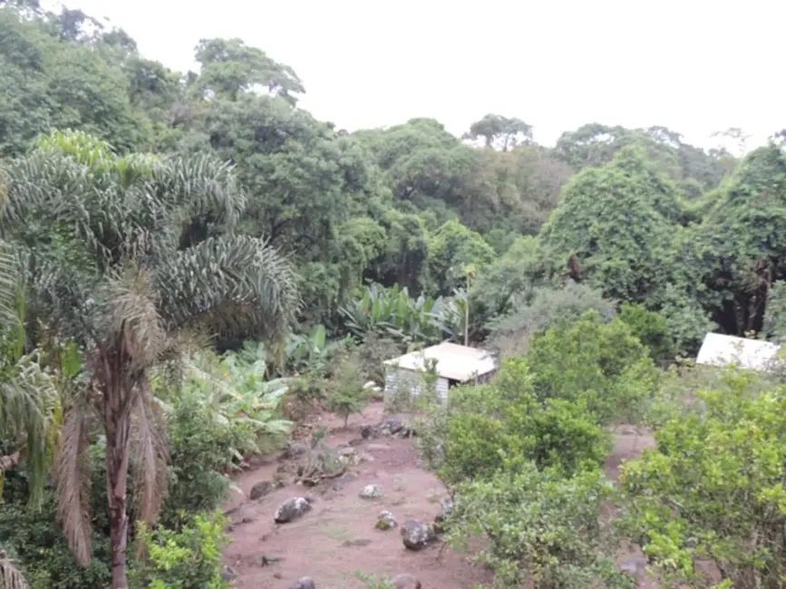 Foto 7 de Chácara com 3 quartos à venda, 4000m2 em Mairinque - SP