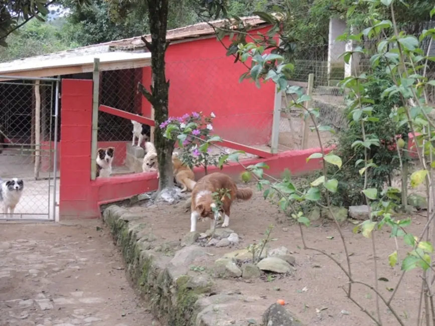 Foto 2 de Chácara com 3 quartos à venda, 4000m2 em Mairinque - SP