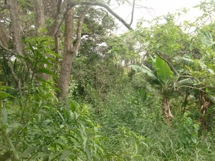 Sítio / Rancho com 2 quartos à venda, 80m2 em Mairinque - SP - imagem 5 Foto 5 de Sítio / Rancho com 2 quartos à venda, 80m2 em Mairinque - SP