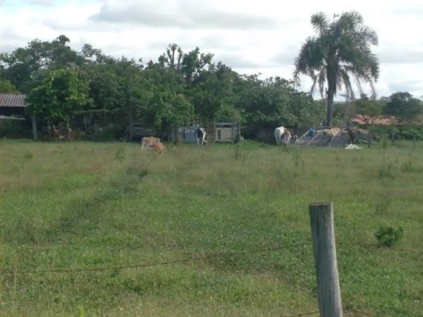 Foto 5 de Sítio / Rancho com 2 quartos à venda, 10000m2 em Capela Do Alto - SP