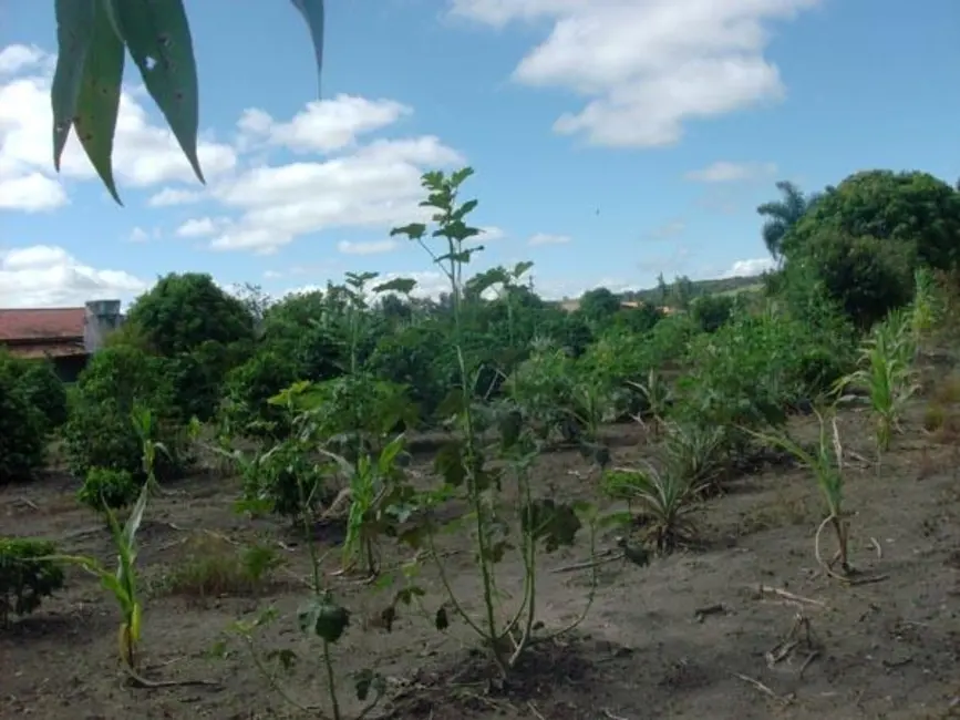 Foto 8 de Sítio / Rancho com 2 quartos à venda, 10000m2 em Capela Do Alto - SP