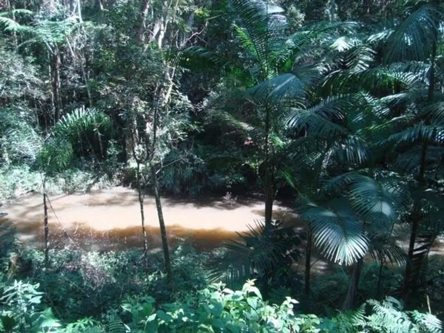Sítio / Rancho com 5 quartos à venda, 50000m2 em Mairinque - SP - imagem 8 Foto 8 de Sítio / Rancho com 5 quartos à venda, 50000m2 em Mairinque - SP