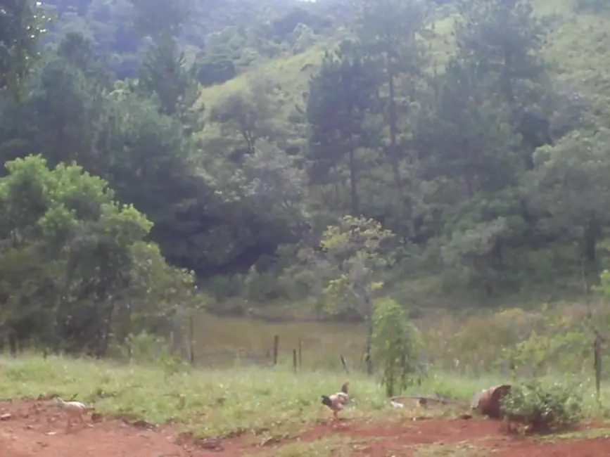 Sítio / Rancho com 3 quartos à venda, 24000m2 em Aluminio - SP - imagem 3 Foto 3 de Sítio / Rancho com 3 quartos à venda, 24000m2 em Aluminio - SP