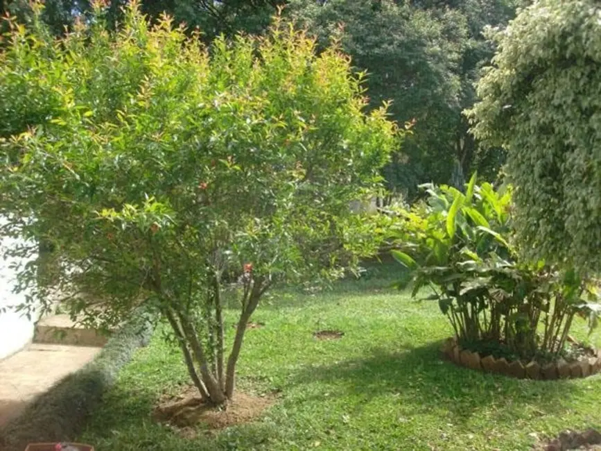 Chácara com 2 quartos à venda, 1000m2 em Mairinque - SP - imagem 8 Foto 8 de Chácara com 2 quartos à venda, 1000m2 em Mairinque - SP