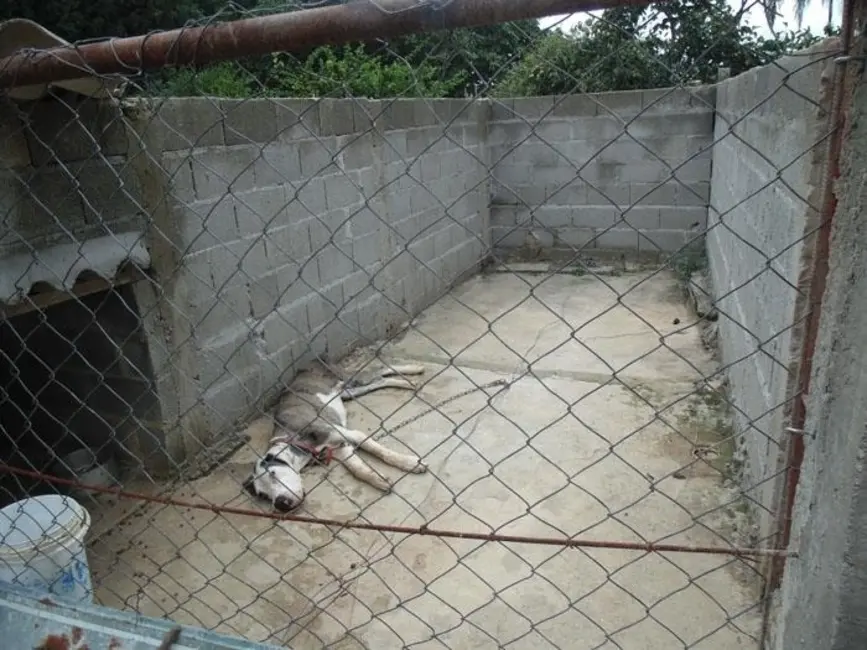 Chácara com 2 quartos à venda, 5000m2 em Mairinque - SP - imagem 7 Foto 7 de Chácara com 2 quartos à venda, 5000m2 em Mairinque - SP