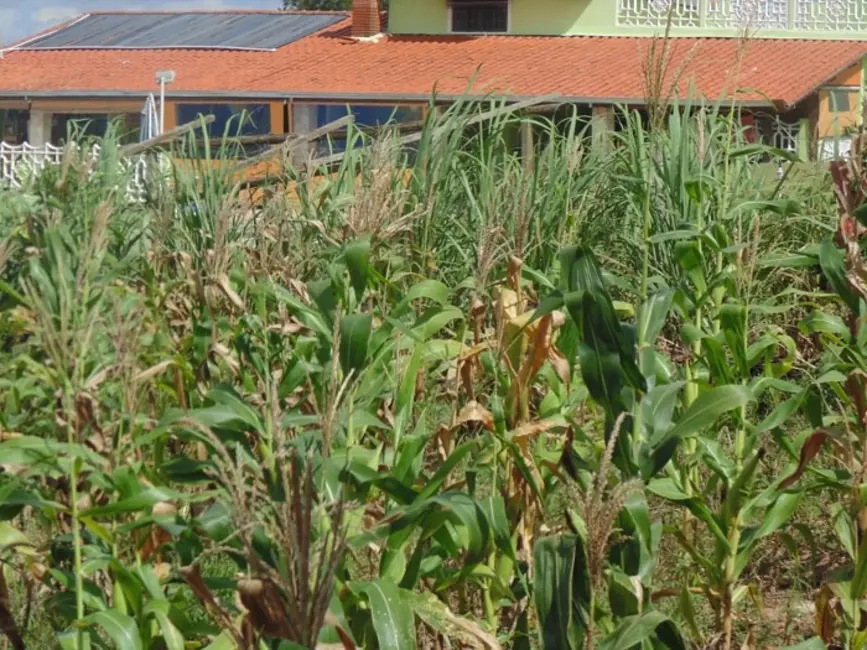 Foto 2 de Lote de Condomínio à venda, 1500m2 em Aluminio - SP