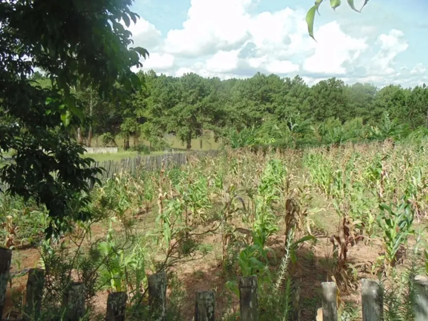 Lote de Condomínio à venda, 1500m2 em Aluminio - SP - imagem 4 Foto 4 de Lote de Condomínio à venda, 1500m2 em Aluminio - SP