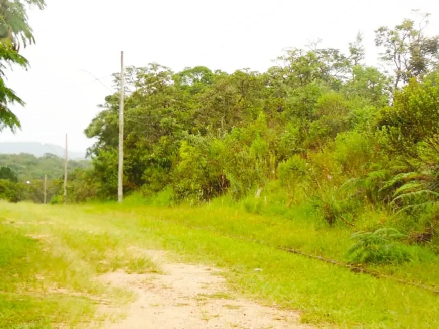 Terreno / Lote à venda, 5000m2 em Mairinque - SP - imagem 3 Foto 3 de Terreno / Lote à venda, 5000m2 em Mairinque - SP