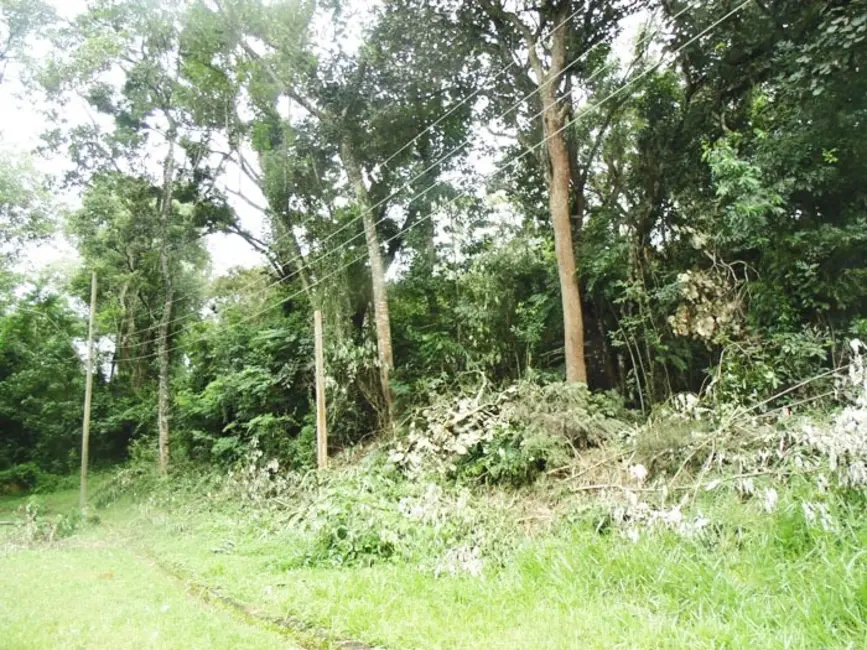 Terreno / Lote à venda, 5000m2 em Mairinque - SP - imagem 6 Foto 6 de Terreno / Lote à venda, 5000m2 em Mairinque - SP