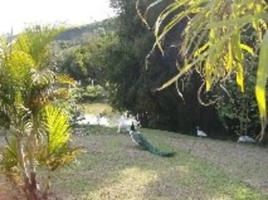 Sítio / Rancho com 6 quartos à venda, 12m2 em Guarei - SP - imagem 3 Foto 3 de Sítio / Rancho com 6 quartos à venda, 12m2 em Guarei - SP