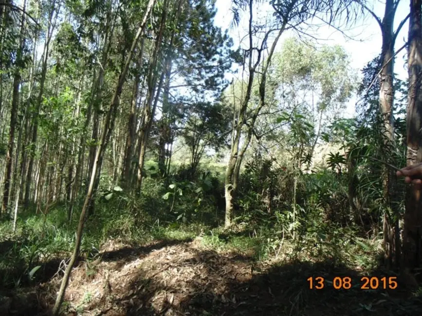 Foto 5 de Chácara com 3 quartos à venda, 37m2 em Mairinque - SP