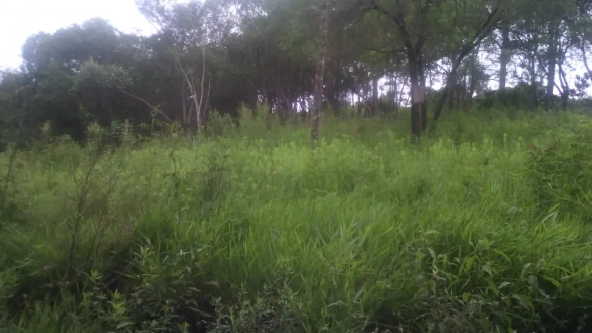 Terreno / Lote à venda, 5000m2 em Mairinque - SP - imagem 3 Foto 3 de Terreno / Lote à venda, 5000m2 em Mairinque - SP