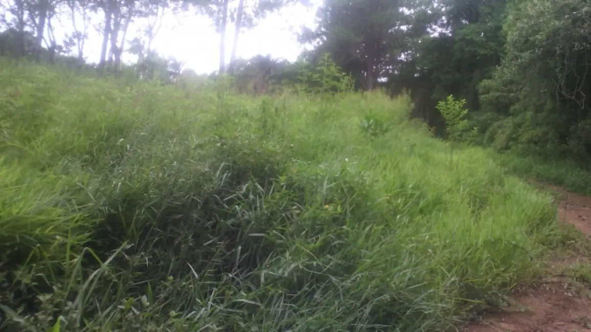 Terreno / Lote à venda, 5000m2 em Mairinque - SP - imagem 2 Foto 2 de Terreno / Lote à venda, 5000m2 em Mairinque - SP