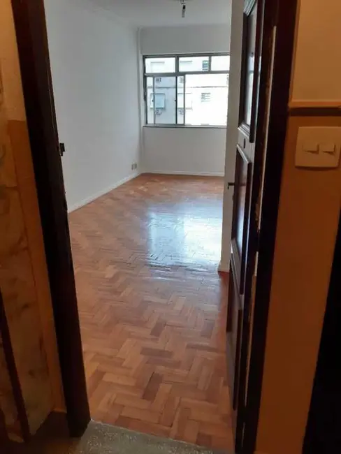 Apartamento com 1 quarto à venda, 55m2 em Rio De Janeiro - RJ - imagem 3 Foto 3 de Apartamento com 1 quarto à venda, 55m2 em Rio De Janeiro - RJ