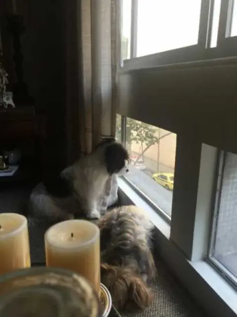 Foto 6 de Apartamento com 2 quartos à venda, 86m2 em Rio De Janeiro - RJ