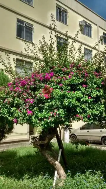 Foto 1 de Apartamento com 3 quartos à venda, 65m2 em Rio De Janeiro - RJ