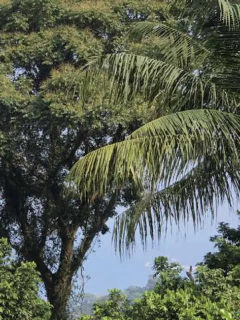 Foto 4 de Terreno / Lote à venda, 1025m2 em Rio De Janeiro - RJ