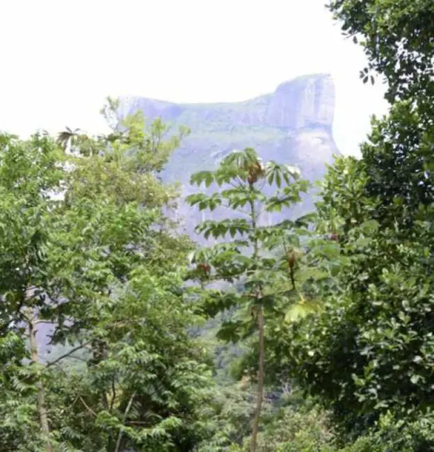 Foto 2 de Terreno / Lote à venda, 1025m2 em Rio De Janeiro - RJ
