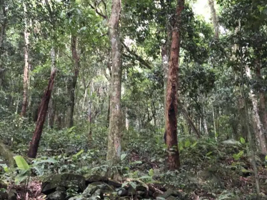 Foto 5 de Terreno / Lote à venda, 1025m2 em Rio De Janeiro - RJ